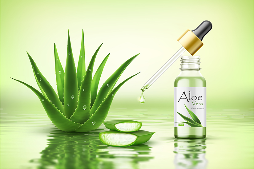 aloe2