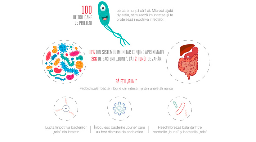 Fa Cunostinta Cu Bacteriile Bune Din Intestin Regina Maria
