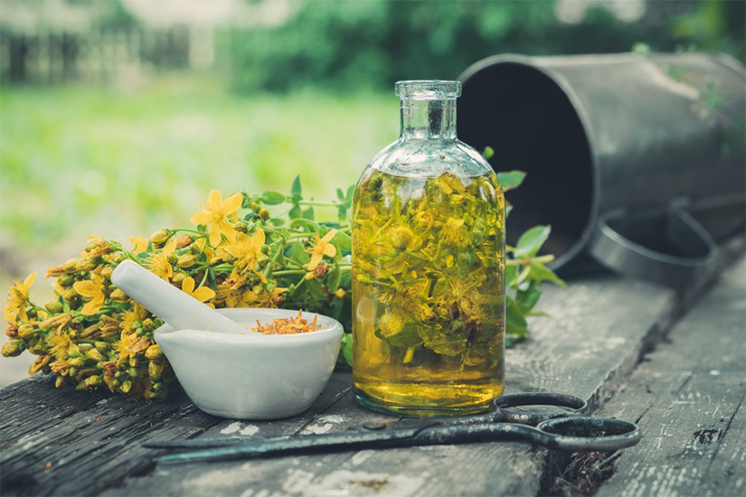 Administering St. John’s Wort: Tea, Capsules, and Oil – Benefits and Recommendations