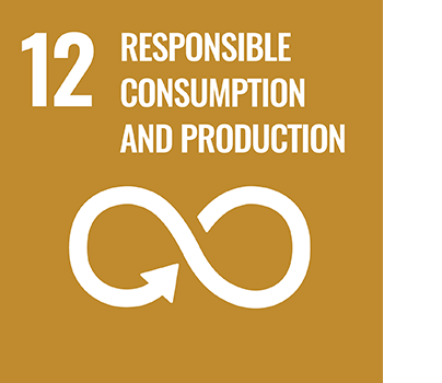 SDG 12