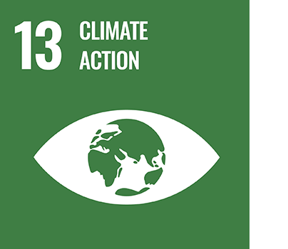 SDG 13